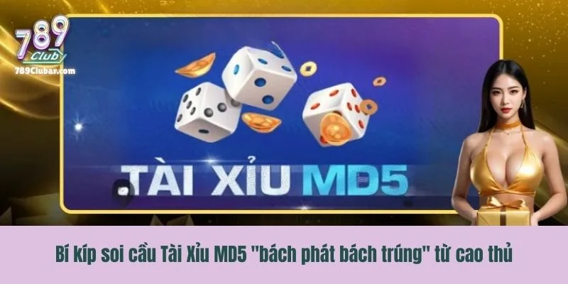 Bí kíp soi cầu MD5 "bách phát bách trúng" từ cao thủ
