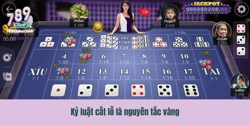 Kỷ luật cắt lỗ là nguyên tắc vàng quản lý vốn không bao giờ cháy acc