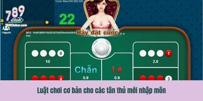 Luật chơi cơ bản cho các tân thủ mới nhập môn