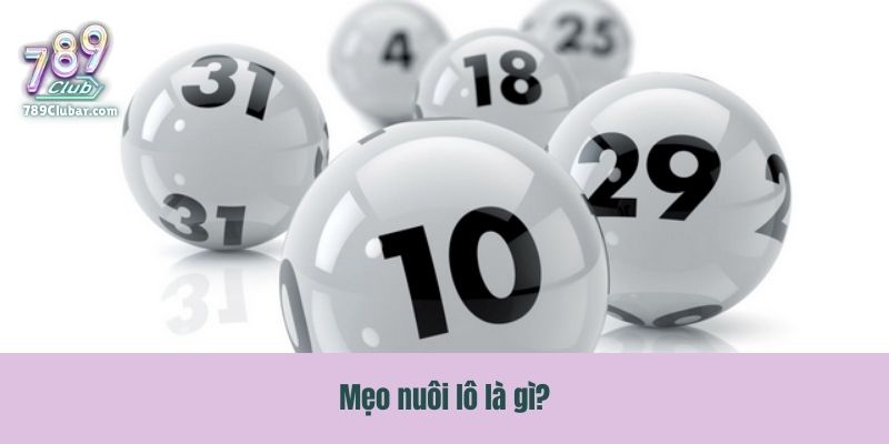 Mẹo nuôi lô là gì?