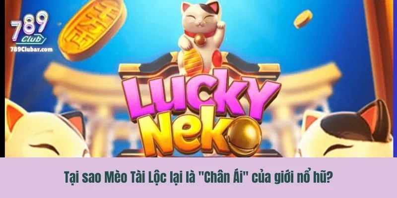 Tại sao nổ hũ Mèo Tài Lộc lại là "Chân Ái" của game thủ