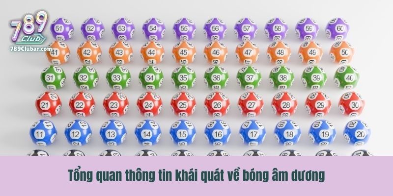 Tổng quan thông tin khái quát về bóng âm dương