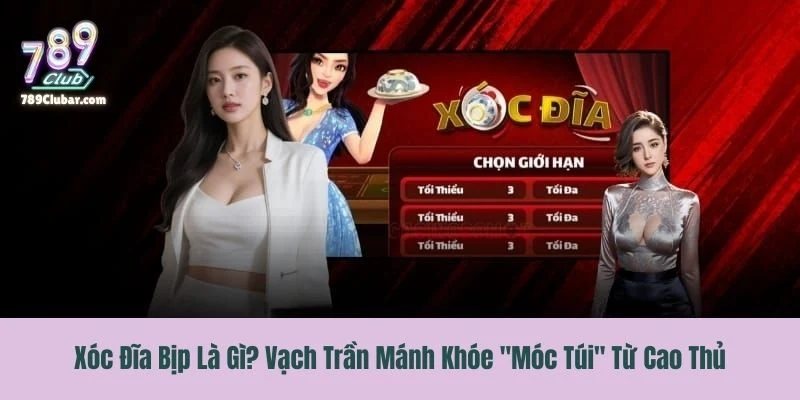 Xóc Đĩa Bịp Là Gì? Vạch Trần Mánh Khóe "Móc Túi" Từ Cao Thủ